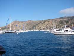 Sail boats lined up